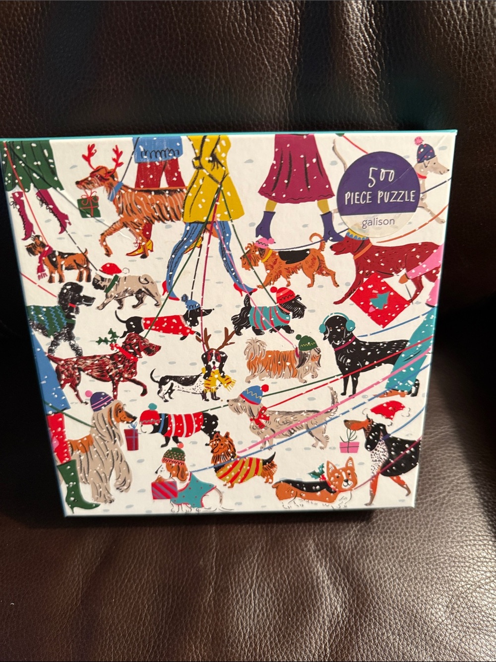 Galison Winter Dogs 500-Piece jigsaw Puzzle.  Has posters